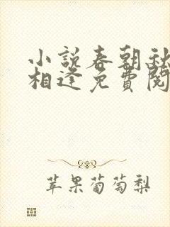 小说春朝秋夕不相逢免费阅读封面