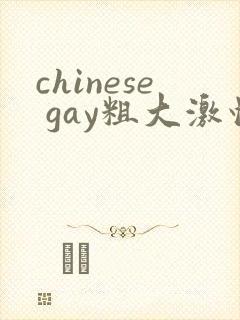 chinese gay粗大激情