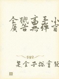 全职高手小说无广告无弹窗