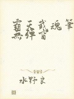 霸天武魂笔趣阁无弹窗封面