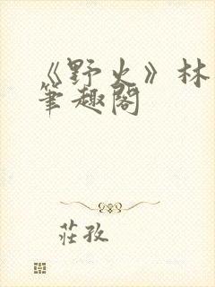 《野火》林晚晚笔趣阁