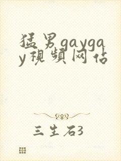 猛男gaygay视频网站封面