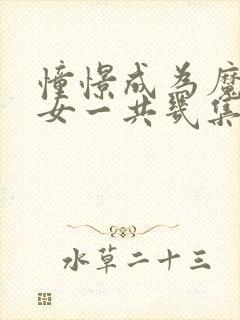 憧憬成为魔法少女一共几集