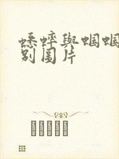 蟋蟀与蝈蝈的区别图片