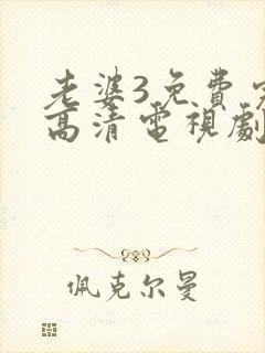 老婆3免费完整高清电视剧在线观看