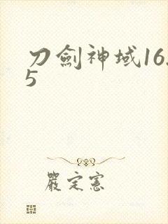 刀剑神域16.5