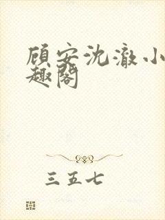 顾安沈澈小说笔趣阁