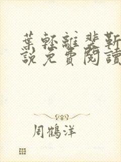 叶轻离裴靳墨小说免费阅读无弹窗