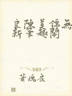 良陈美锦无删减新笔趣阁