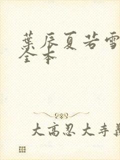 叶辰夏若雪孙怡全本封面