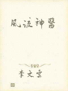 风流神医封面