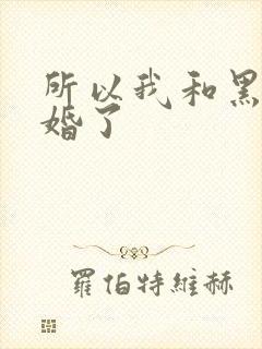 所以我和黑粉结婚了
