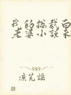 我的总裁白富美老婆小说未删减完整版