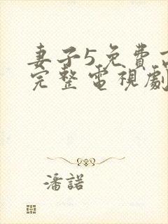 妻子5免费高清完整电视剧