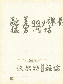 欧美gay裸体猛男网站