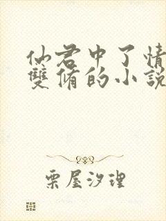 仙君中了情毒要双修的小说