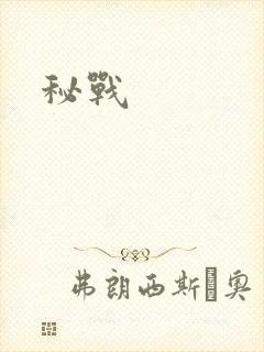 秘战