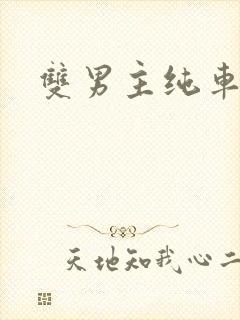 双男主纯车骨科