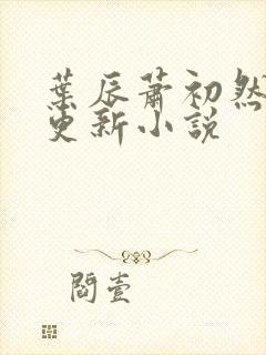 叶辰萧初然最快更新小说