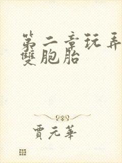 第二章玩弄少妇双胞胎