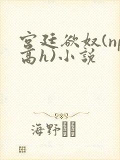 宫廷欲奴(np高h)小说
