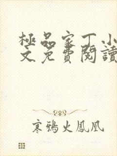 极品家丁小说全文免费阅读完整版