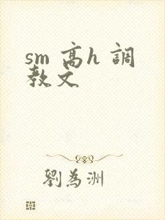 sm 高h 调教文封面