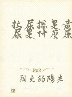 拉尿总是黄色的尿是什么原因