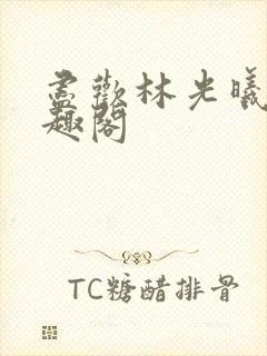 尽欢林光曦 笔趣阁