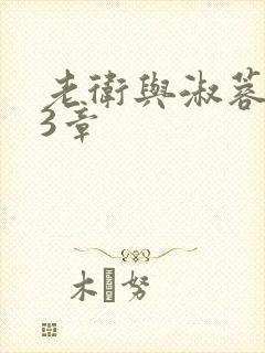 老卫与淑蓉第13章