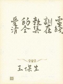 爱的教训电影高清全集在线观看