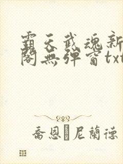 霸天武魂新笔趣阁无弹窗txt封面