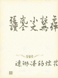 张岚小说免费阅读全文无弹窗封面