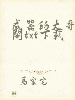 成器的大哥笔趣阁txt下载