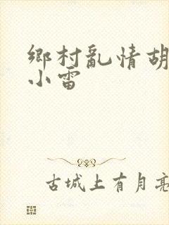 乡村乱情胡秀英小雷封面