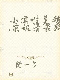 小伟唯美赵振国,宋婉清最新章节