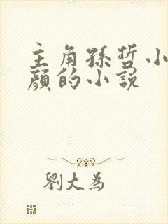 主角孙哲小妈朱颜的小说