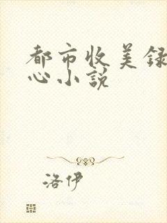 都市收美录宁素心小说