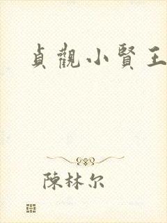 贞观小贤王李慎