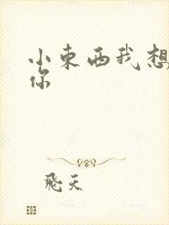 小东西我想弄坏你