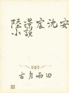 陆璟宸沈安澜的小说