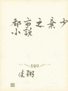 都市之弃少无双小说封面