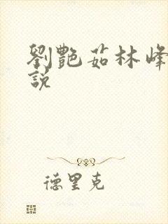 刘艳茹林峰的小说封面