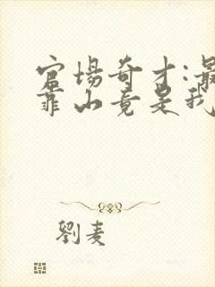 官场奇才:最强靠山竟是我自己李澜