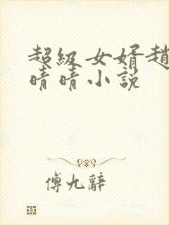 超级女婿赵旭李晴晴小说