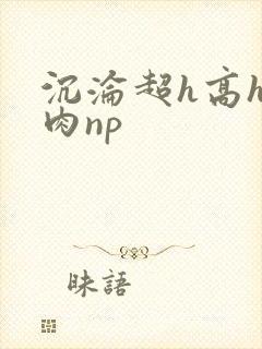 沉沦超h高h污肉np