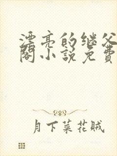 漂亮的继父笔趣阁小说免费阅读