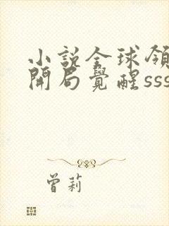 小说全球领主:开局觉醒sss级天赋完整版