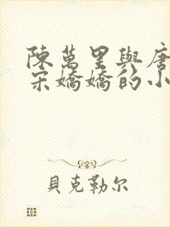 陈万里与唐嫣然宋娇娇的小说叫什么封面