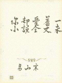 你却爱着一个他小说全文未删减免费封面